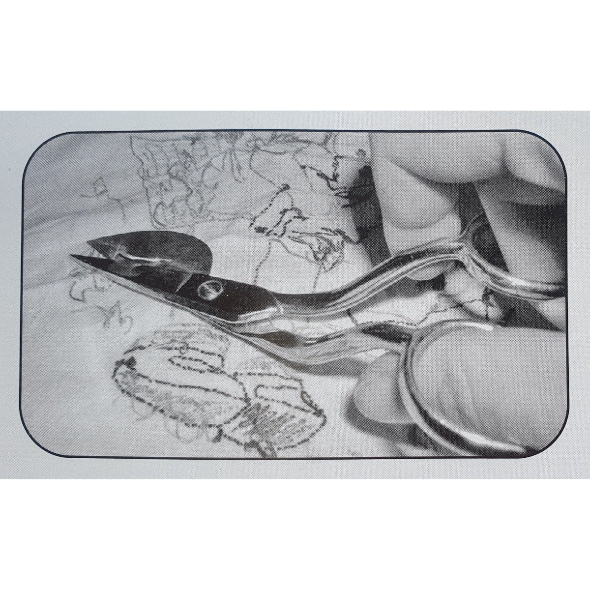 Madeira Applique Scissors: 6 inch / 15.24 cm - Image 3