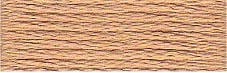 DMC Stranded Cotton Browns - Image 50