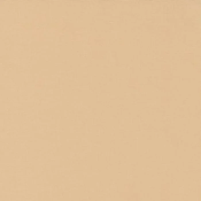 Moda Bella Solid - Creams And Naturals - Image 3