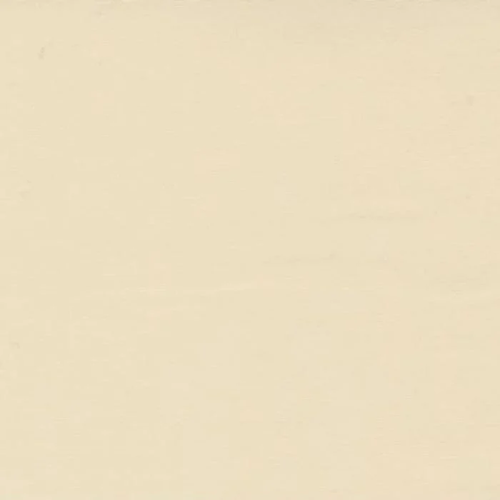 Moda Bella Solid - Creams And Naturals - Image 5