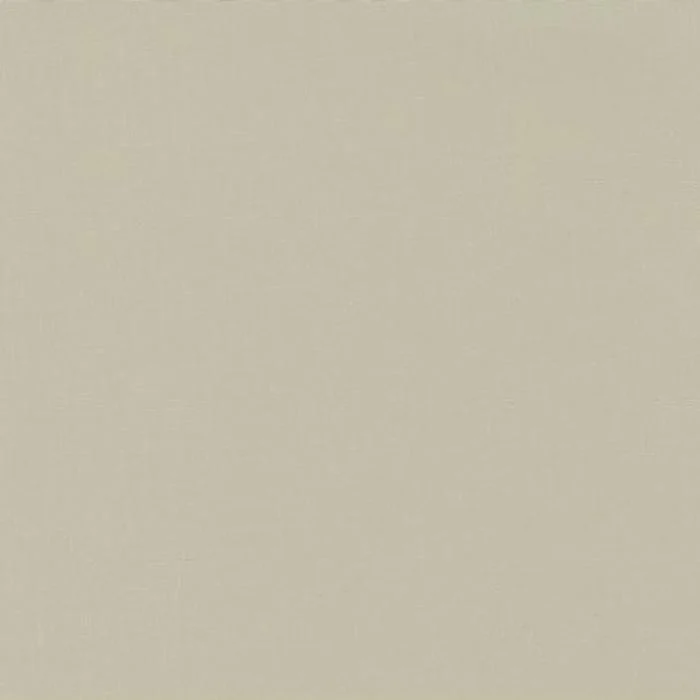 Moda Bella Solid - Creams And Naturals - Image 7