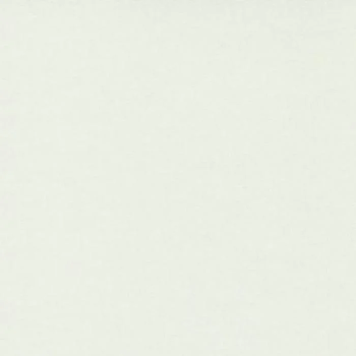 Moda Bella Solid - Creams And Naturals - Image 8