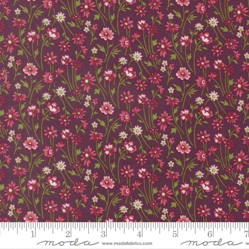 Moda Chelsea Garden 2026 - Image 44