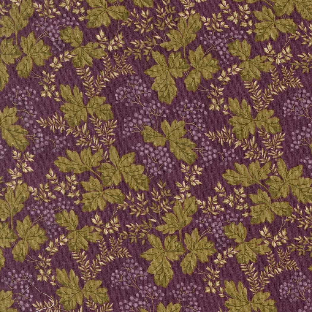 Moda Collections Essence - Image 10