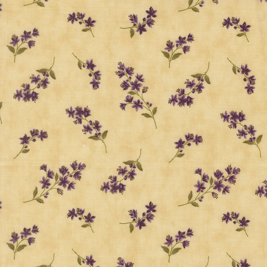 Moda Collections Essence - Image 11