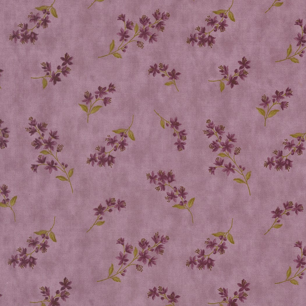 Moda Collections Essence - Image 12