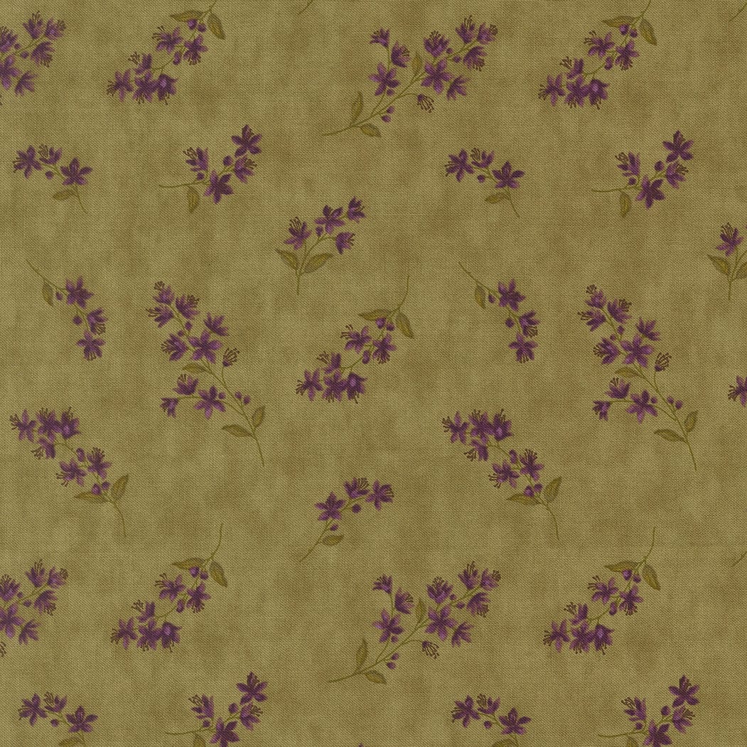 Moda Collections Essence - Image 13