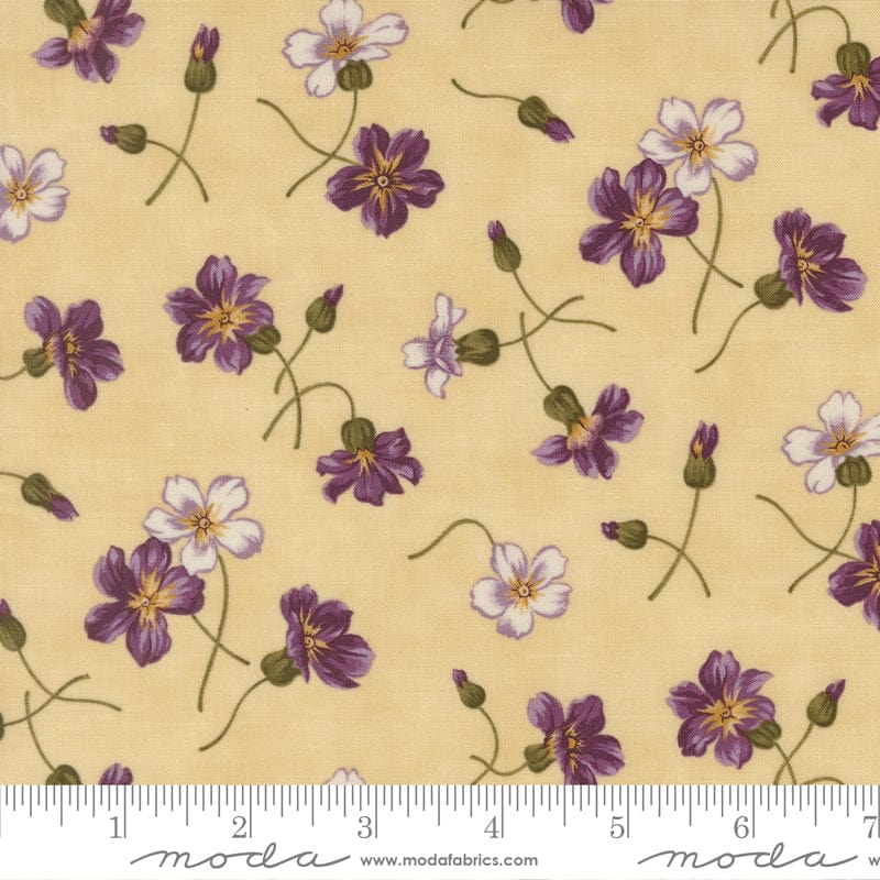 Moda Collections Essence - Image 28