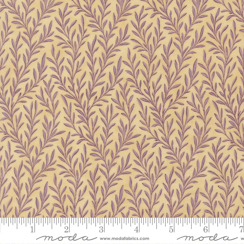 Moda Collections Essence - Image 30