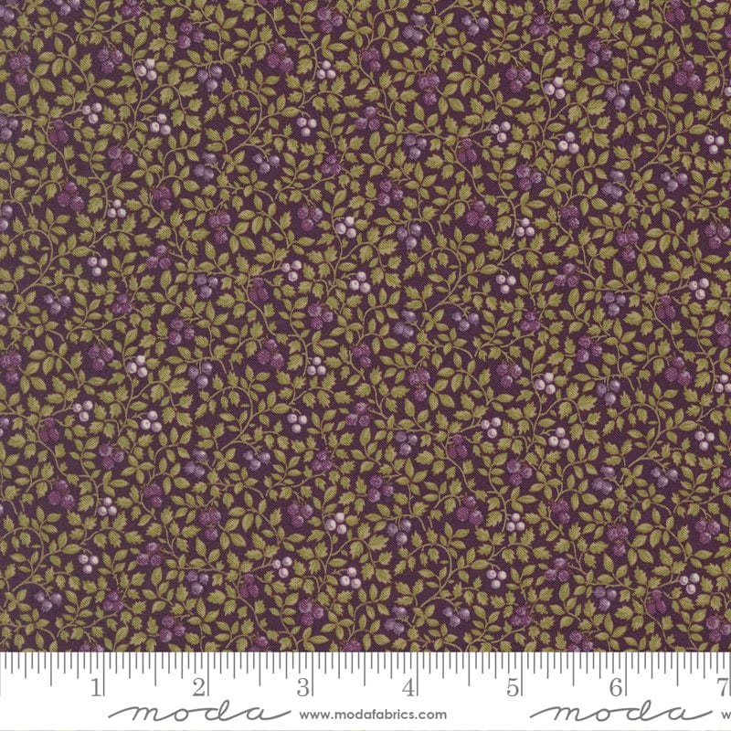 Moda Collections Essence - Image 33