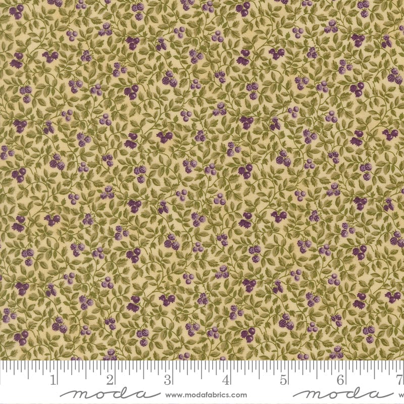Moda Collections Essence - Image 37