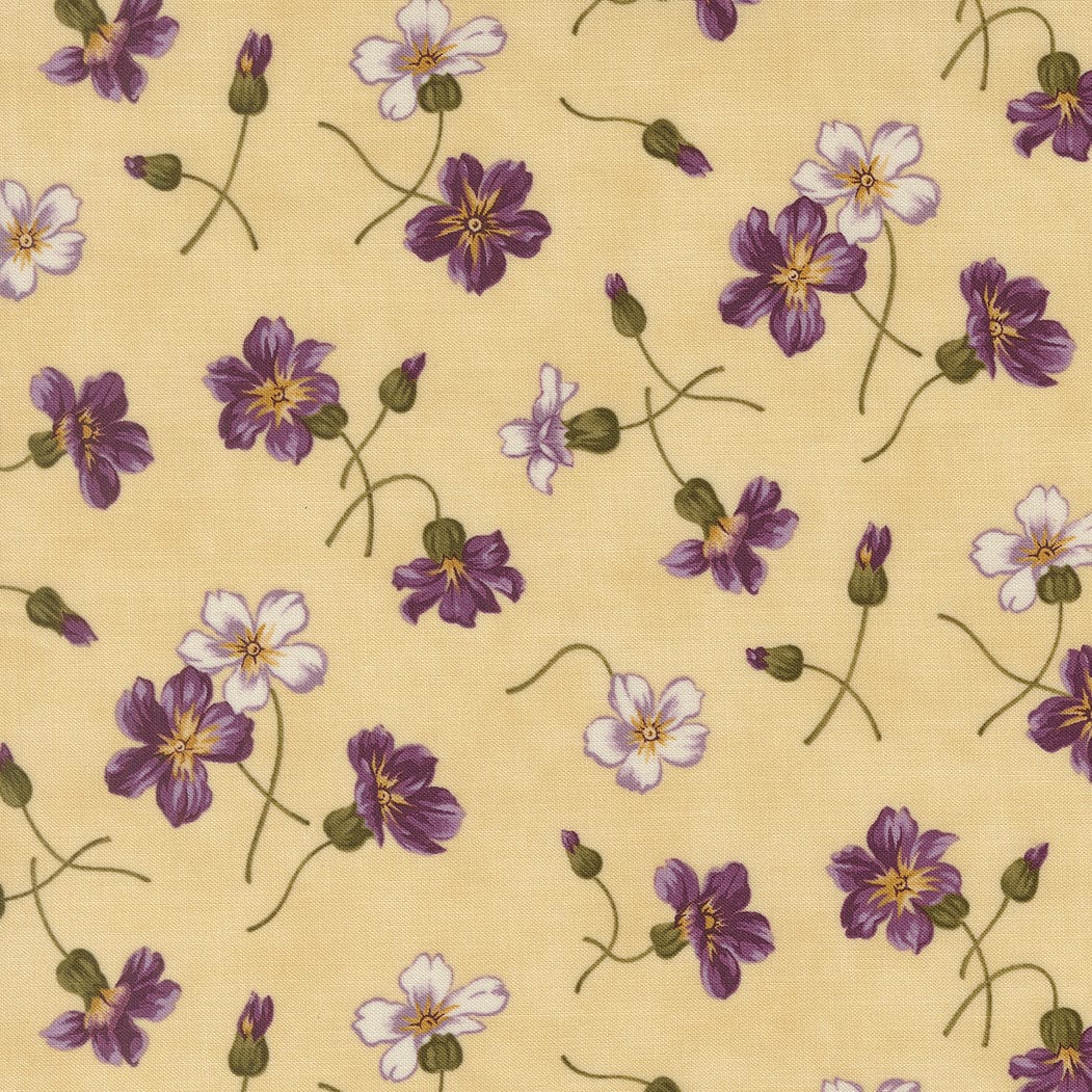 Moda Collections Essence - Image 4