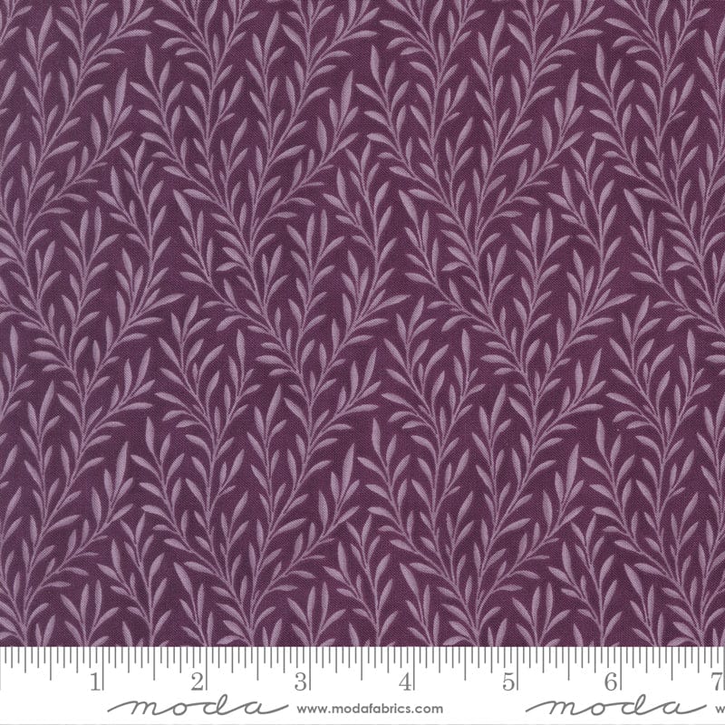Moda Collections Essence - Image 40