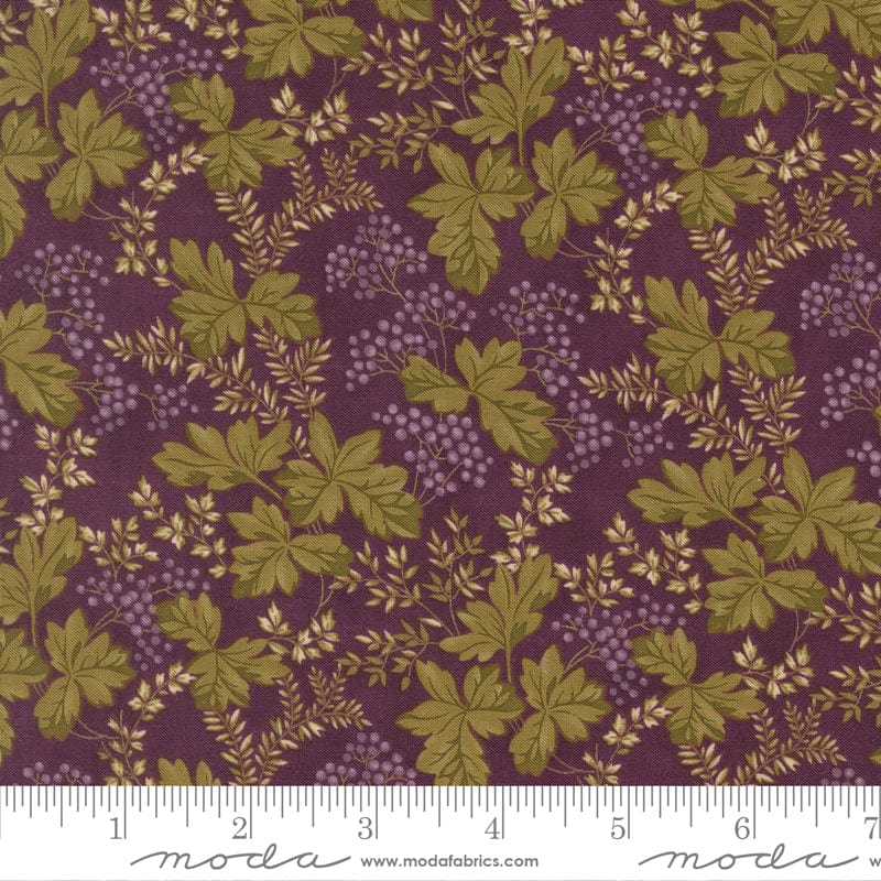 Moda Collections Essence - Image 43