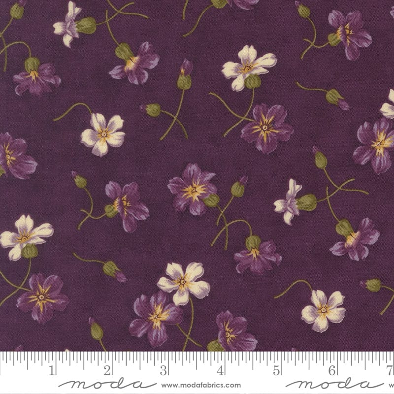 Moda Collections Essence - Image 45