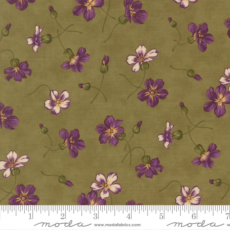Moda Collections Essence - Image 49