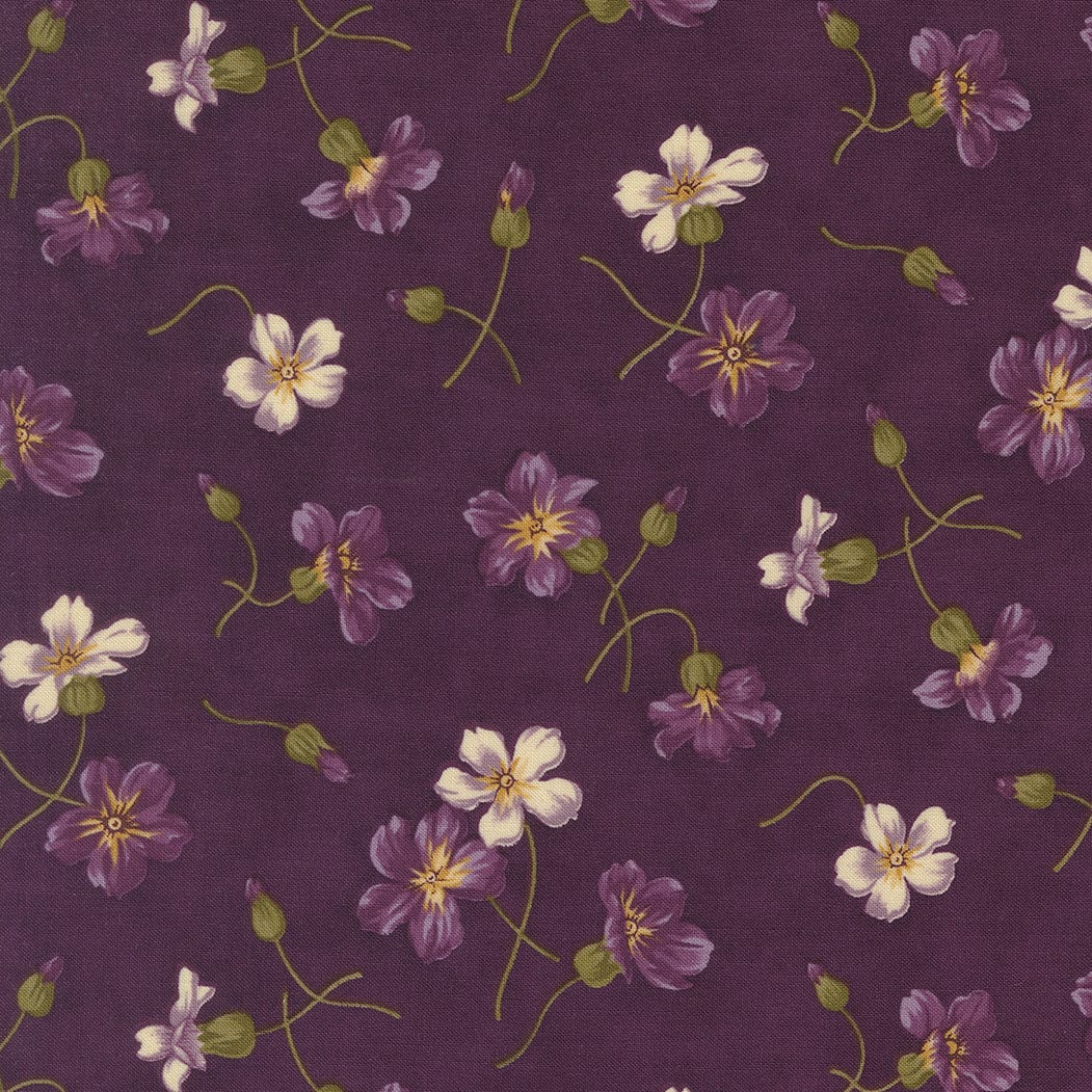 Moda Collections Essence - Image 5