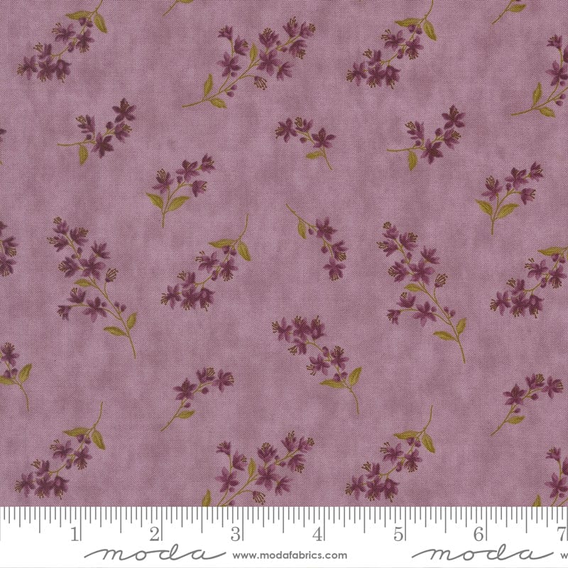 Moda Collections Essence - Image 50