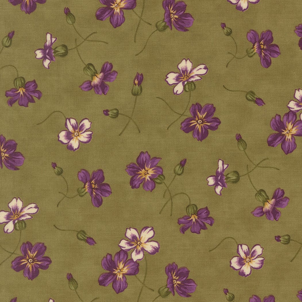 Moda Collections Essence - Image 6