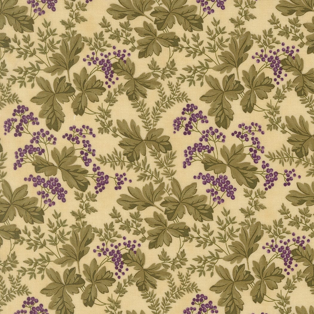 Moda Collections Essence - Image 9