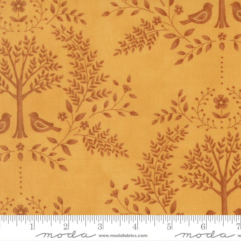 Moda Family Tree - Image 12