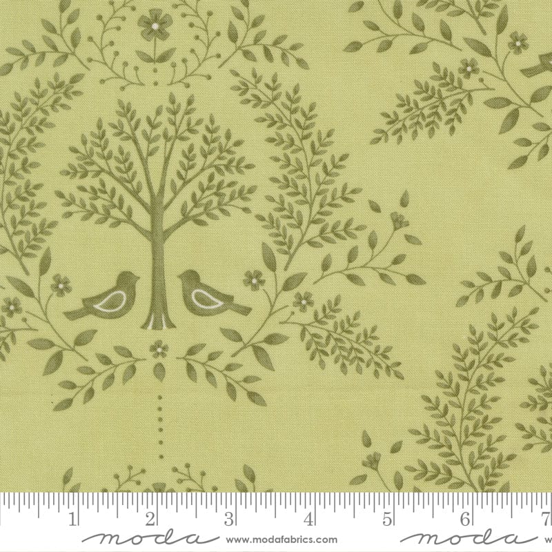 Moda Family Tree - Image 14