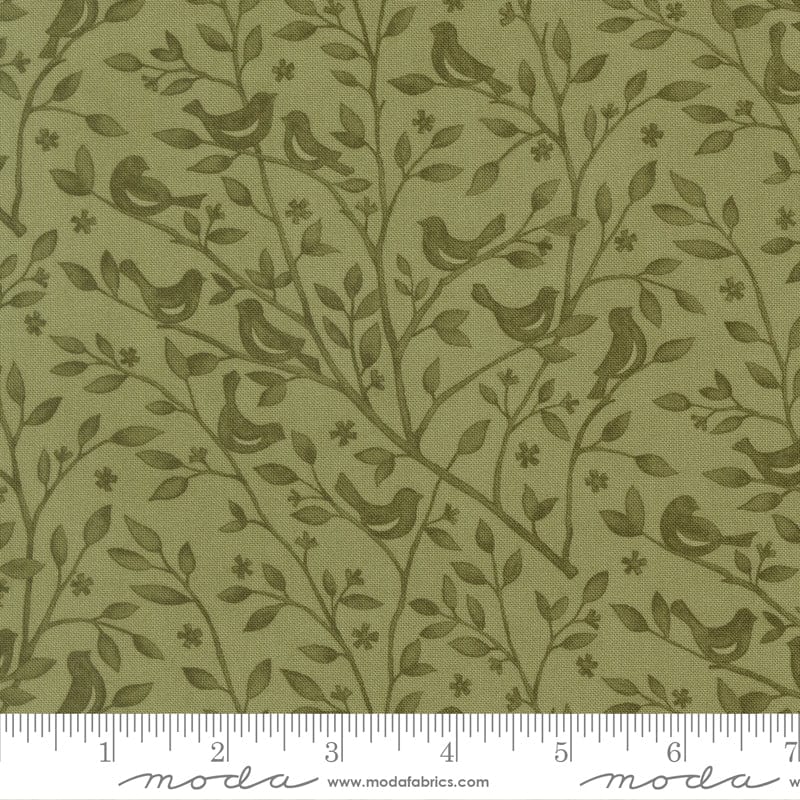 Moda Family Tree - Image 22