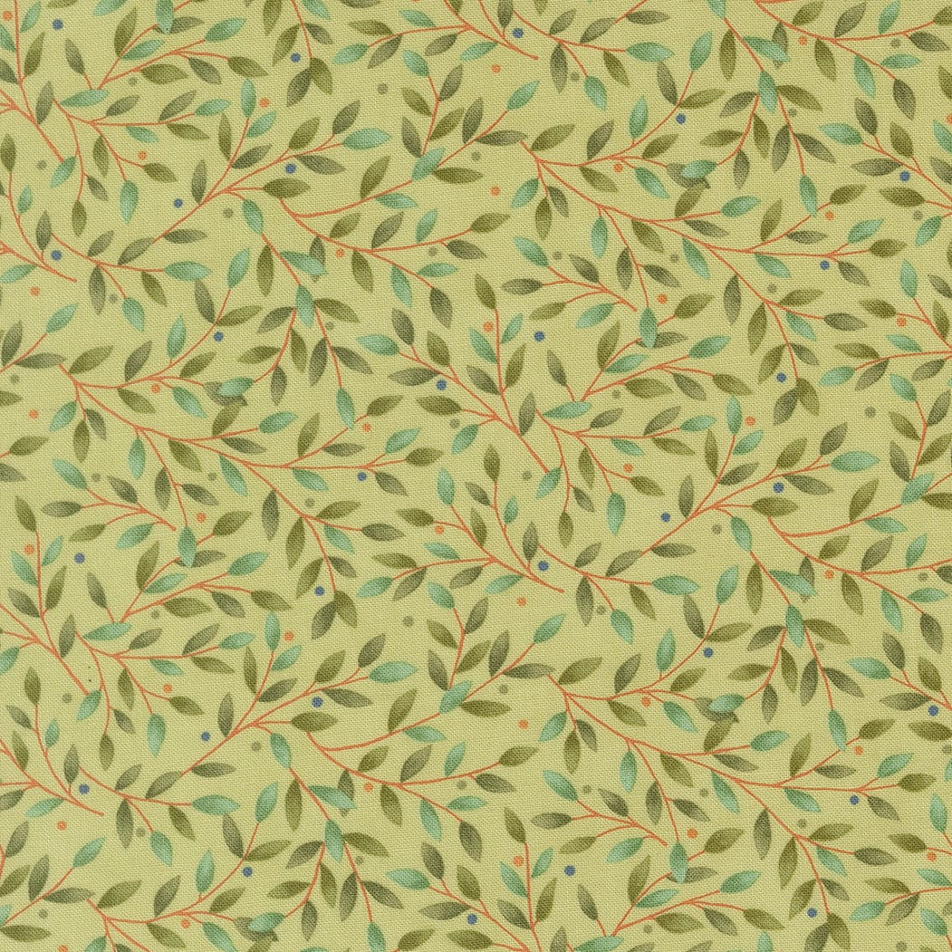 Moda Family Tree - Image 31