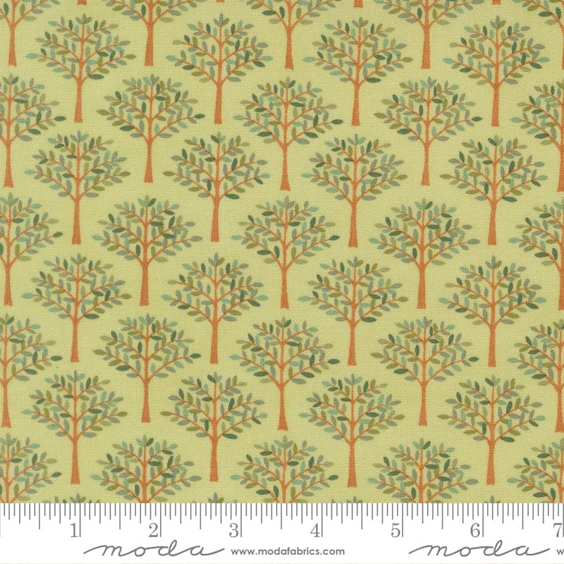 Moda Family Tree - Image 38