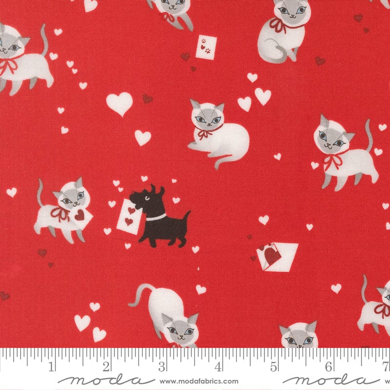 Moda Funny Valentine - Image 15
