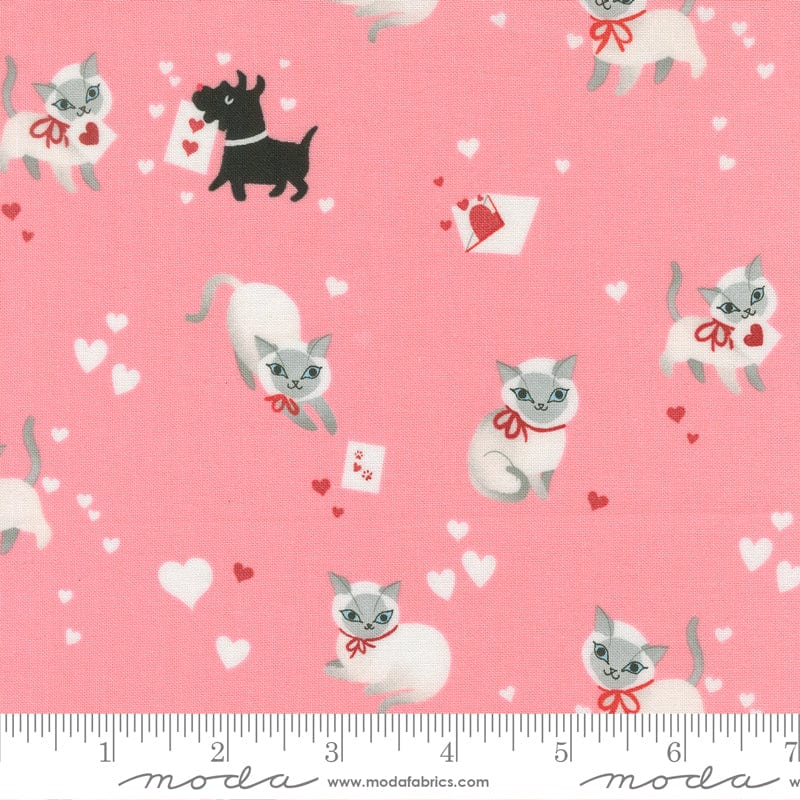 Moda Funny Valentine - Image 17