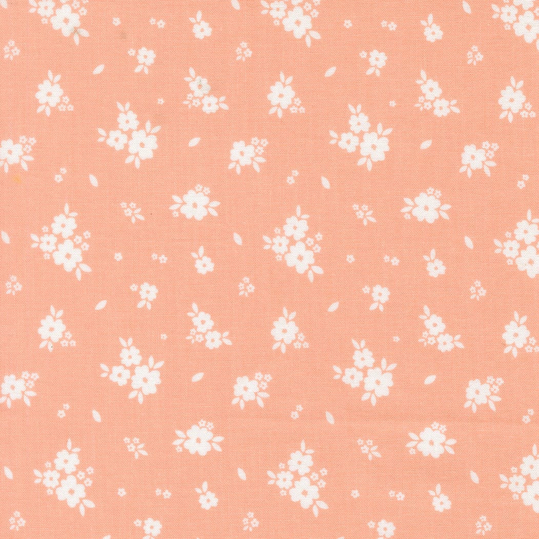 Moda Pastel Prairie - Image 13