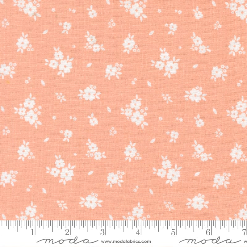 Moda Pastel Prairie - Image 14