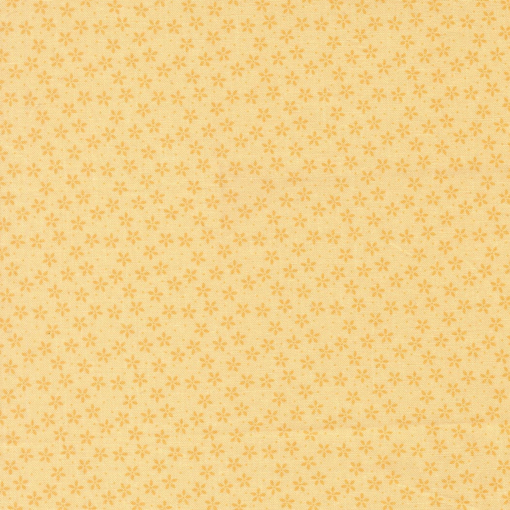 Moda Pastel Prairie - Image 21