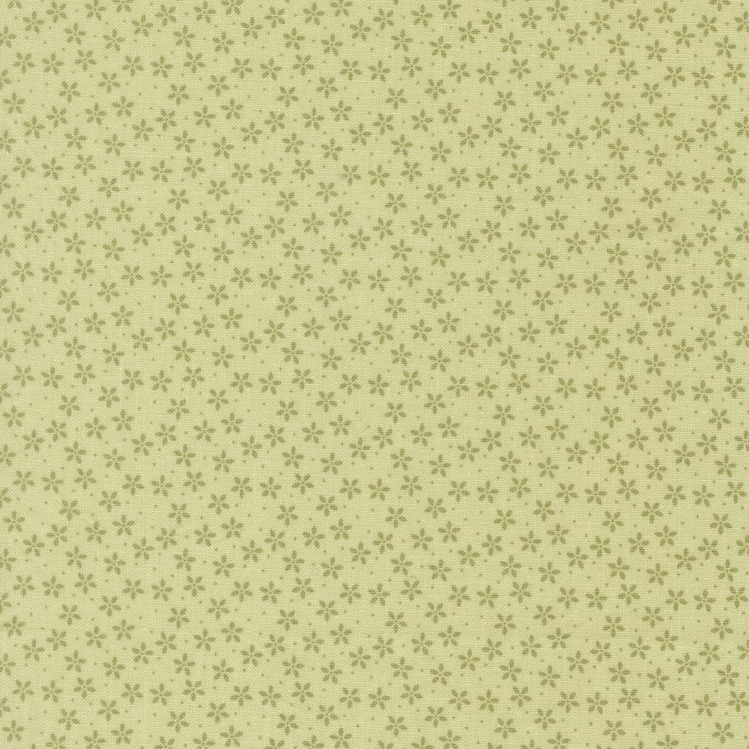Moda Pastel Prairie - Image 23