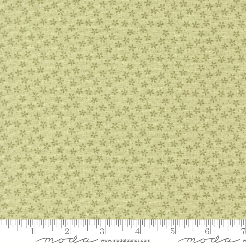 Moda Pastel Prairie - Image 24