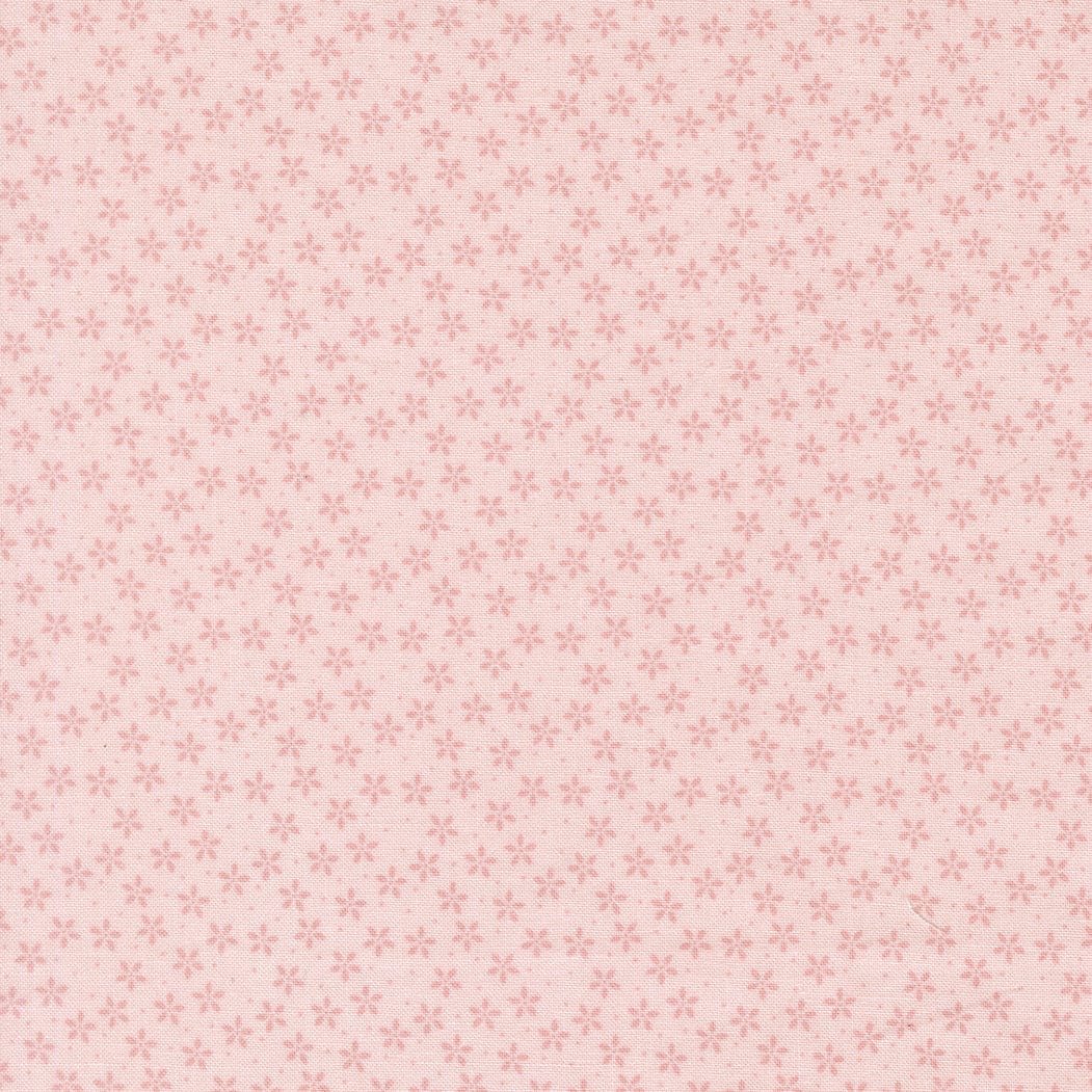 Moda Pastel Prairie - Image 25