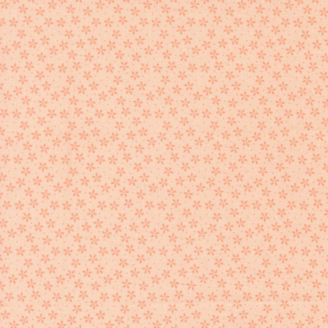 Moda Pastel Prairie - Image 27