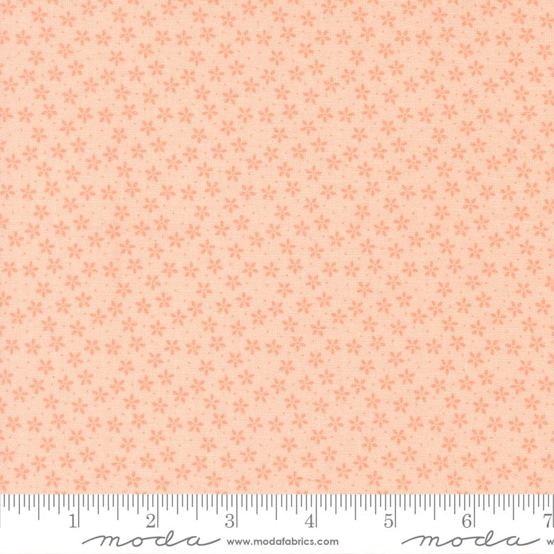 Moda Pastel Prairie - Image 28