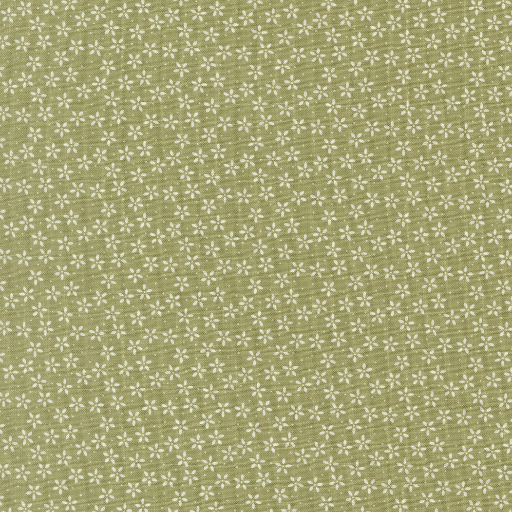 Moda Pastel Prairie - Image 29