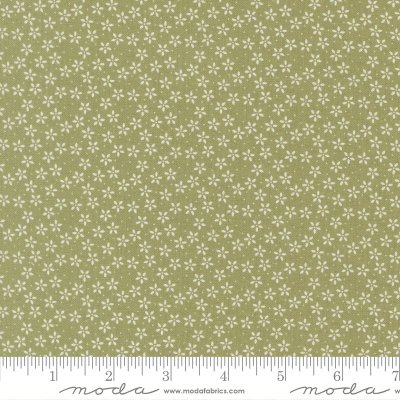 Moda Pastel Prairie - Image 30