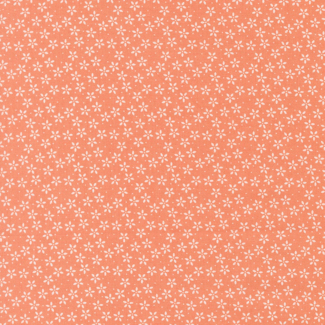 Moda Pastel Prairie - Image 31