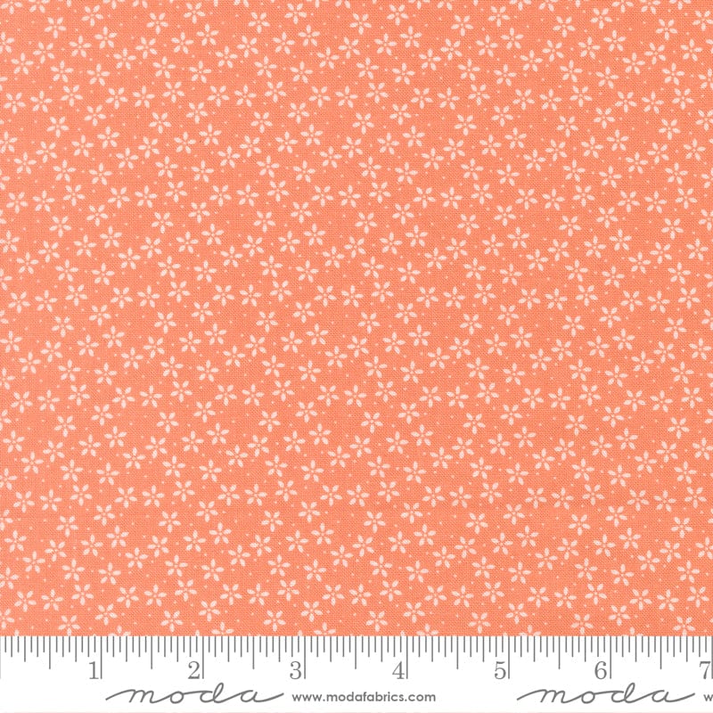 Moda Pastel Prairie - Image 32