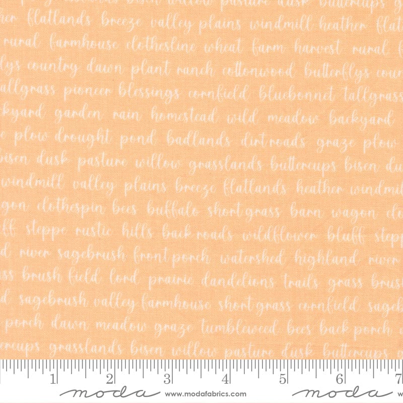 Moda Pastel Prairie - Image 38