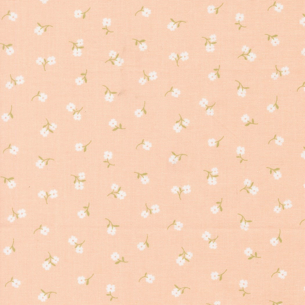 Moda Pastel Prairie - Image 45