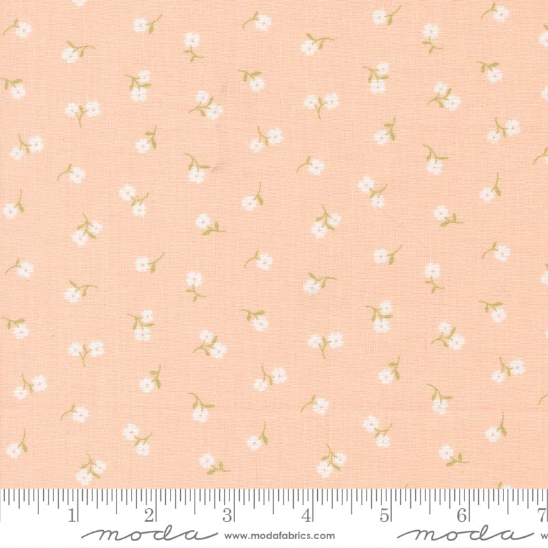 Moda Pastel Prairie - Image 46