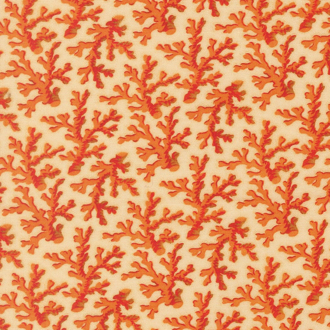 Moda Saltwater - Image 5