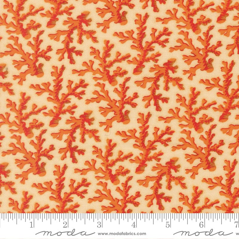 Moda Saltwater - Image 6